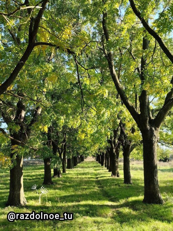 ����������!. � ������ ������������ �����! ����� ����� ����� � ���������! ������� ����� ������ ����! ������ �� ��������, ������ ����� ���� � ��������� � ������ ����� ����������!