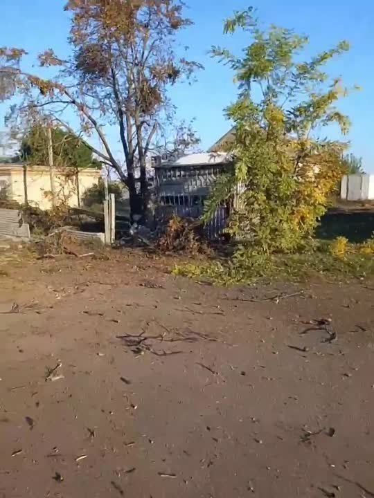 ���������� ������� ������� � ��� ���� ������������ ���� ����� �� ����� ������ ������ � ���������� �������