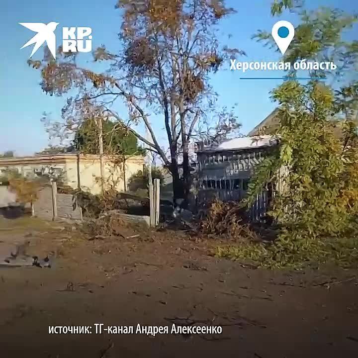 ��� ����� �� ������������� ������ �����