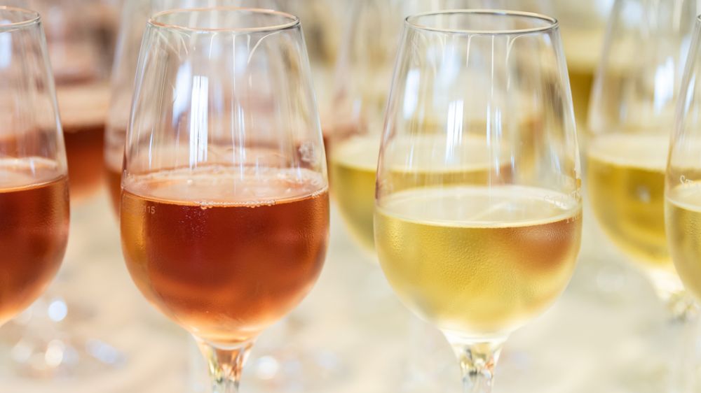 �� ���������� ������� ��������� ���� ���������� �������� ���������