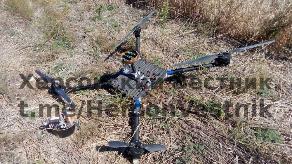 �������������� ����������� ����� "�����" �� ���������� ����������� ����� ��������� ������ ���� (���� ���)