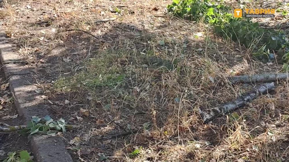 ����� � ����� �������� ����� �������