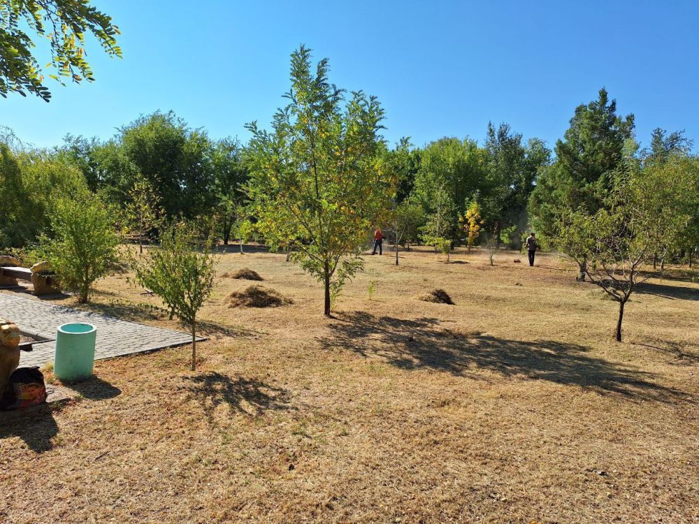 ������ �� ��������������� � ��������