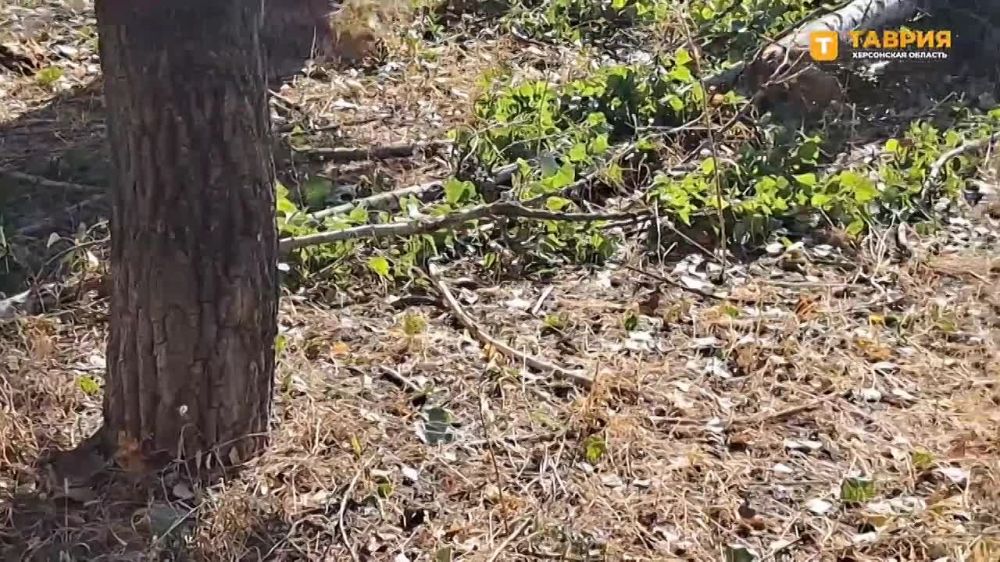 ����� � ����� �������� ����� �������