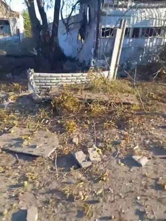 ���� ������� �����, ������ ���������� � ���������� ��������� �������� ��� ������� ����� � ����������