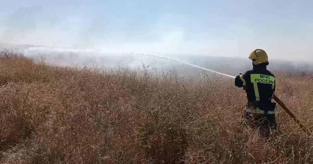 ���������� �������� �������� 15 ���������� �� �����