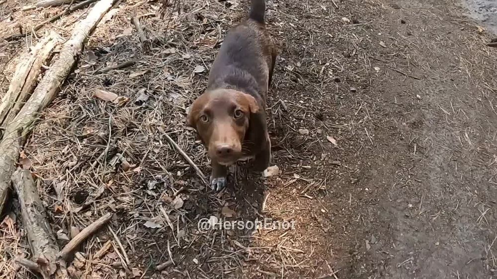 ���� �� �������: ��������� ������������. ��� ������������ ������, ��� ����� �� �����