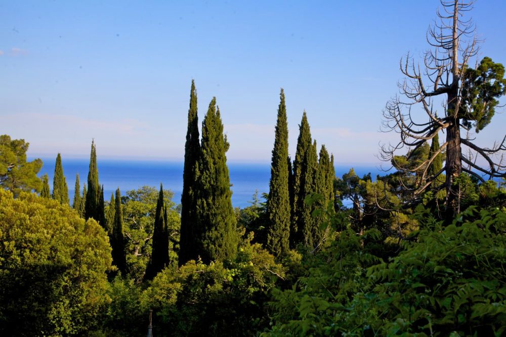 В Крыму выставят на торги квартиру жены Зеленского в Ялте