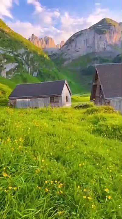 � ������ �����, �����������!