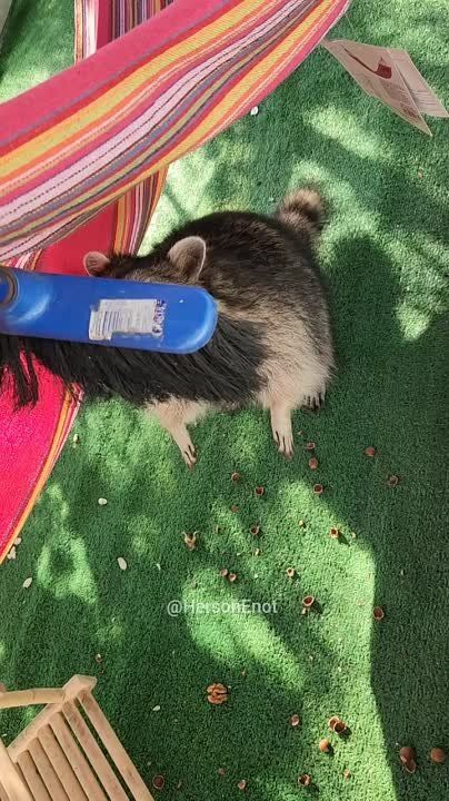 ���� �� �������: ������� ���� � �������� ���, ����, ����� ���� ������ ����