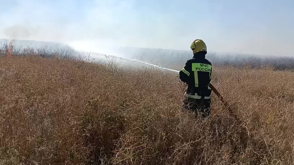 �� �������� ����� � ���������� ������� ���������������� 15 �������, 2 �� ��� � ����� �������