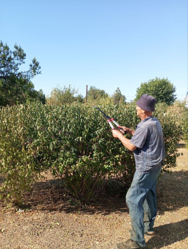 ������ �� ���������������