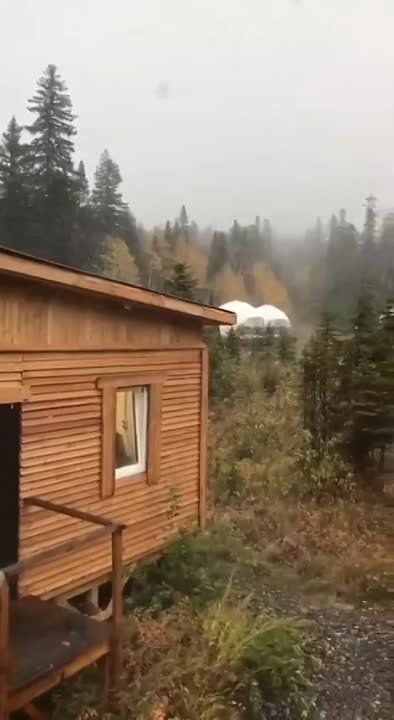 ������ ����, ������ ��������, ����� � ����������� ���� � ����� ���-����, � ������������ ����� ����