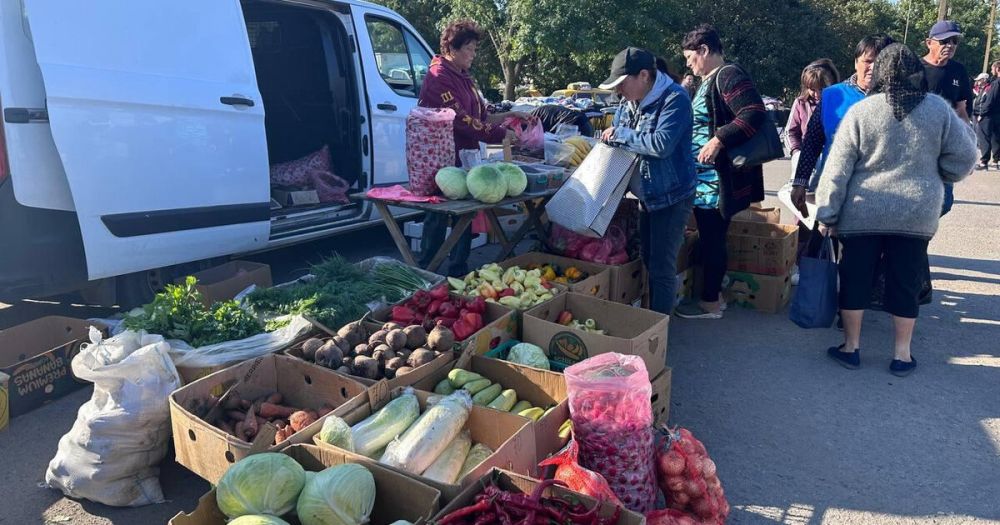 ���������� ������� ����������� ���� ��������� �� �������� ��������� ���