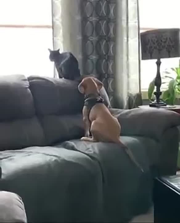 ���, �����... ���-�� ��� ������������� ������, � �� ������ � ��������. ������� �� �������������� ����������� "�" � ������������� ������ �� ����