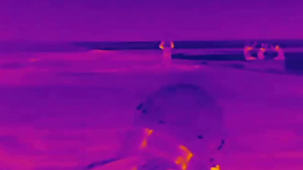 ����� �����: ����������. ������ �������� ������ �������� ��� �� ������� ����������