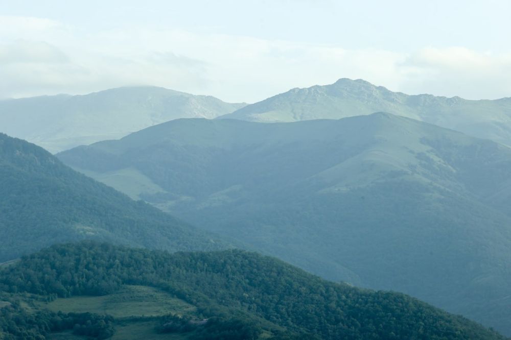 � �������� ������� ������� ����������