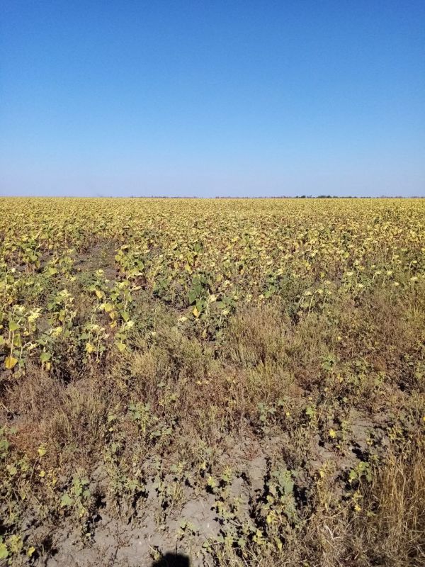 ������ ������ ������������� � ���������� ������