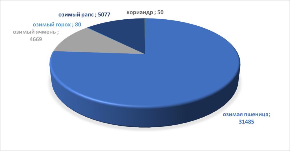 ����� ������ ������� ��� ������ 2024 ����