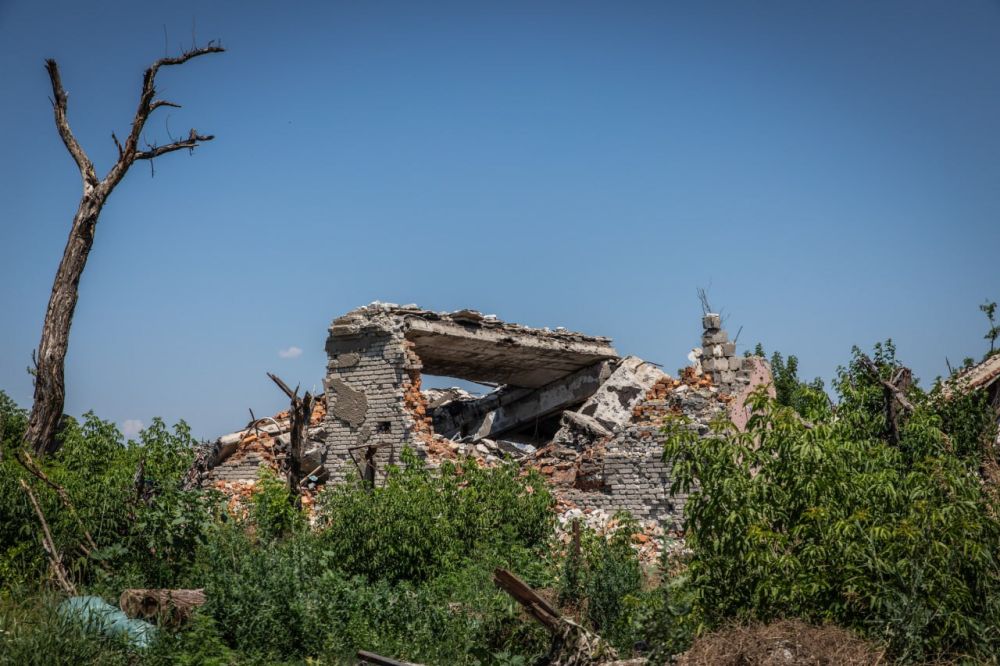 ���������� �������� ���������� ������� ����������������� ������� � �������� ������� � NYT