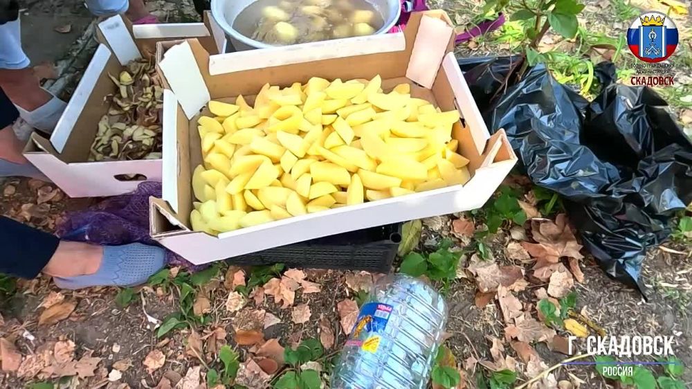 ���� ���������-���������� ���������� � ���������