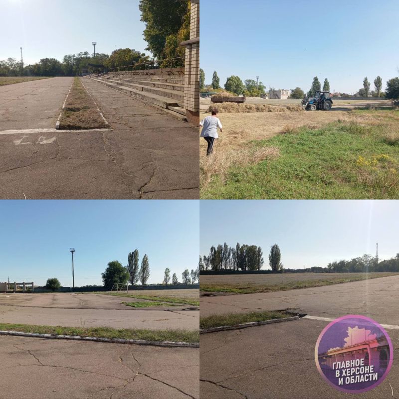 � �������� ������� � ������� ���������� �������� ��������