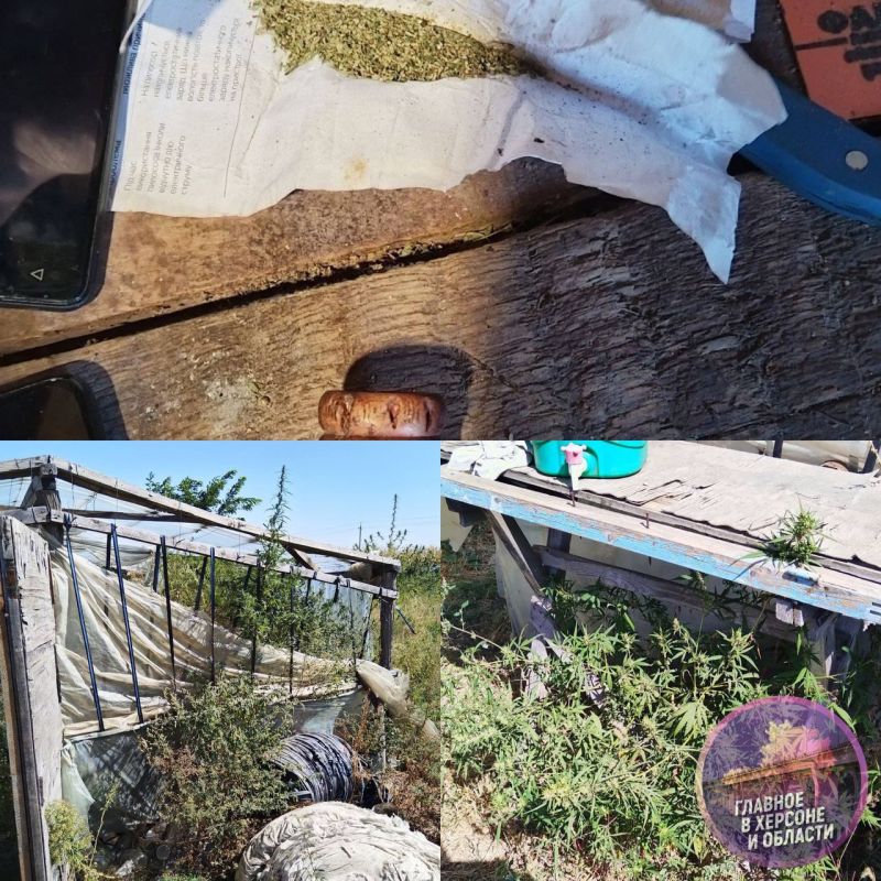 � ������ �������� ������ 148 ������ �������, 10 �� ��������� � ������� ��� ��������� � �������� ������ � ����������� ��������� ���