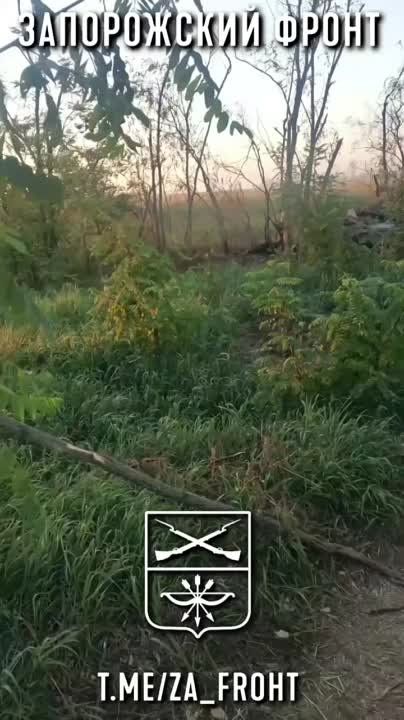 ������������ HMMWV ��� ����� � �.�. �������� �� ����������� �����������