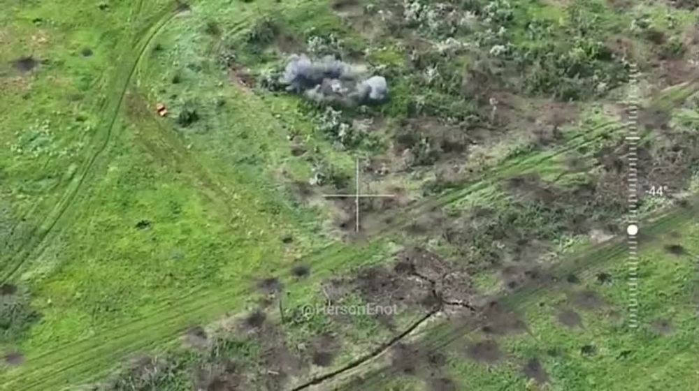 ����������� �����������, �������� ������ ������