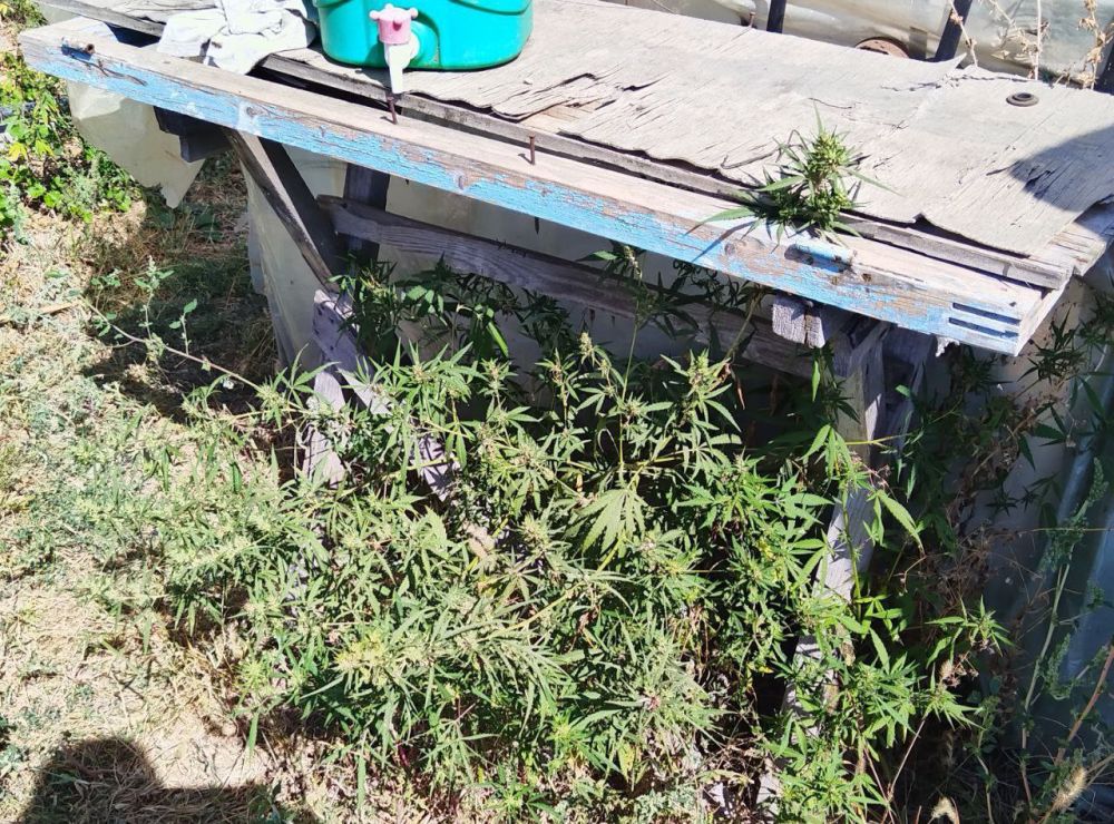 � ������ ���������� ������� ������ 148 ������ �������, 10 �� ��������� � ������� ��� ���������