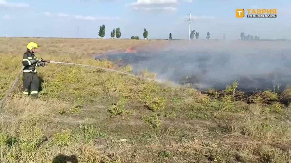 � ���������� ������� � ������ ���� ������������� ����� 1200 �������, 830 �� ������� � �����������