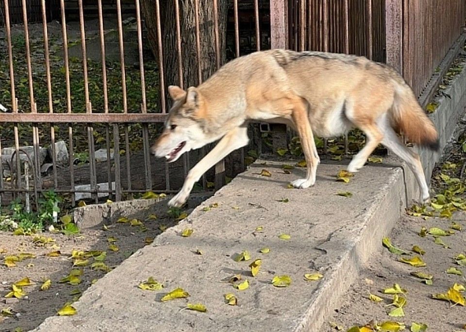 � ����� �������� ���������� ������� � ������� �������