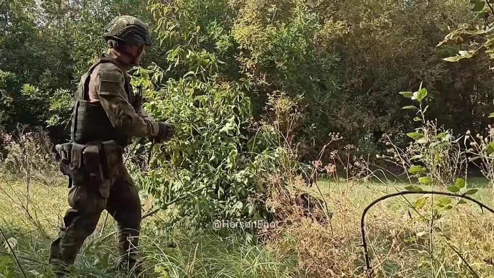 ���� �� �������: ���� ������ �� 25 ����������� ����� ������������ ������