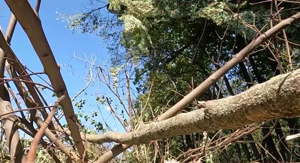 ������ ������ ������ ��������� ���� �� ������������ � ������������ ������ ���� ������ � ����������