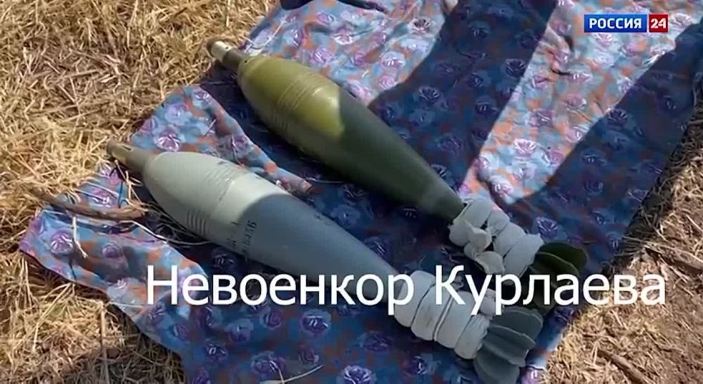 �������� � ����� ����������� � ����������� �����������.