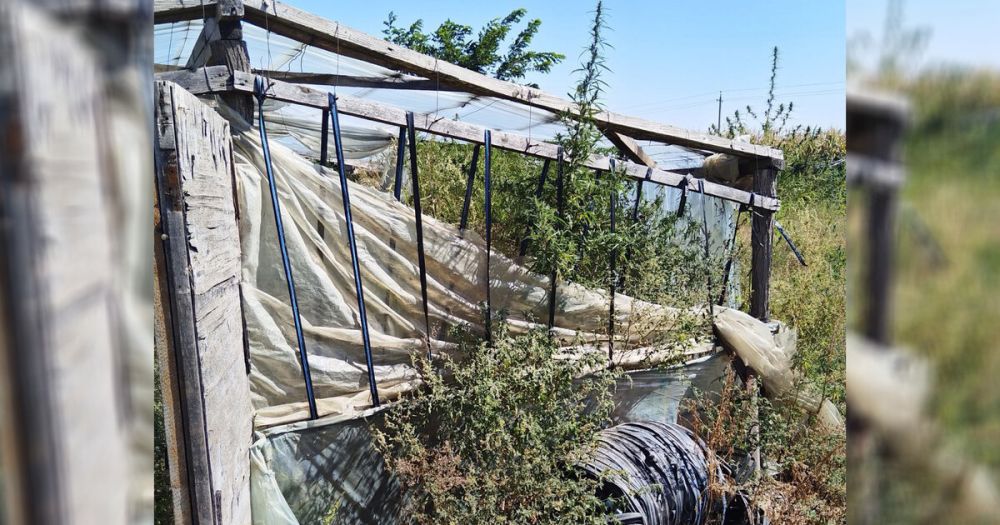 ��������� �� ���������������� ������ ������ ���� ������ ����������� �������