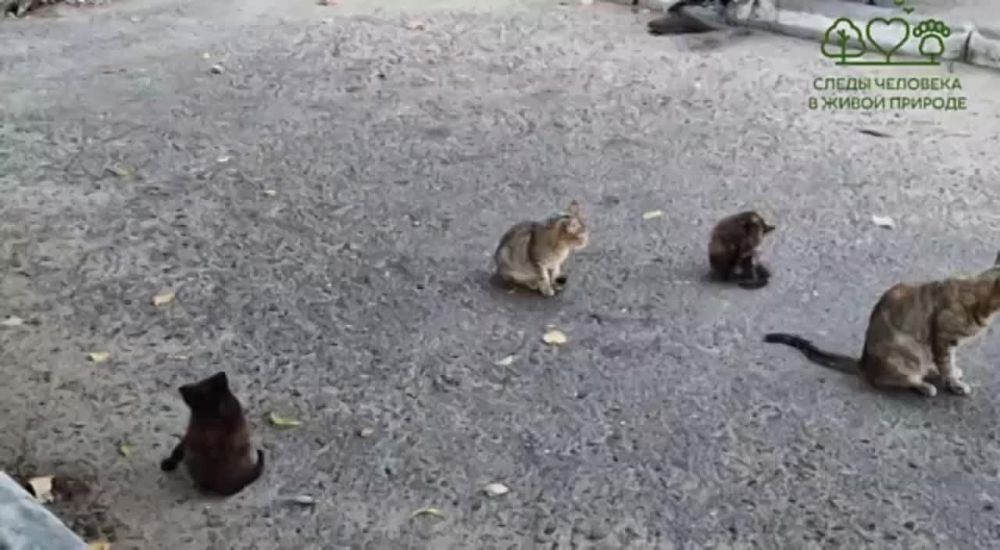 ��������� �� ��������� ���� �������� ���������� ������� ����� � ��������� ��� ����� � �����