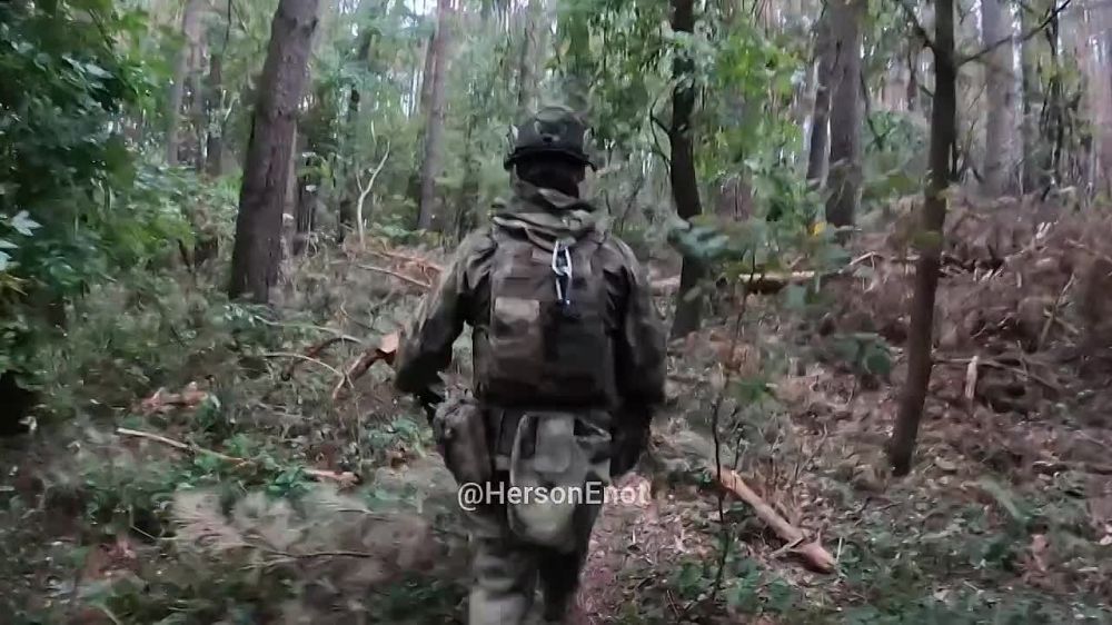 ���� �� �������: ������� �������� ����, ������!