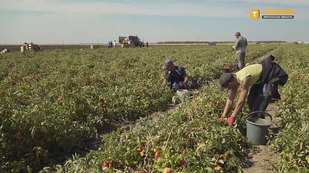 �������������� "������" ������, ��� �������� ���� ������ ������� � ���� �������� ���������� ������