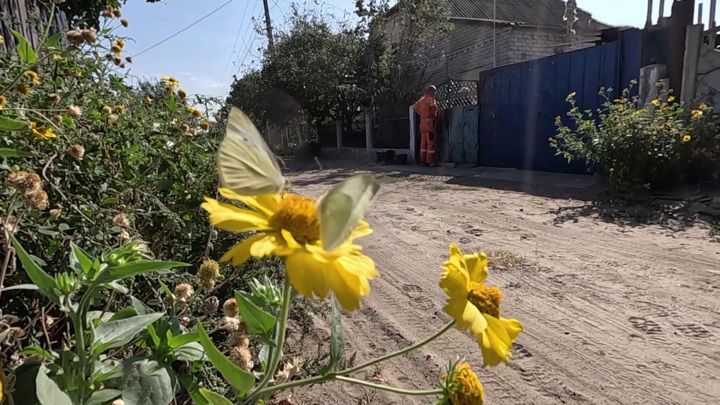 ���� ������� �� ������� ���������� �� ����� ����� ������