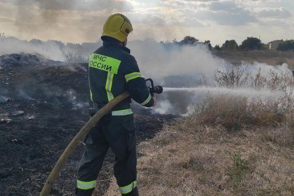 � ���������� ������� �������� ������ ��������� �������, ���� ��������