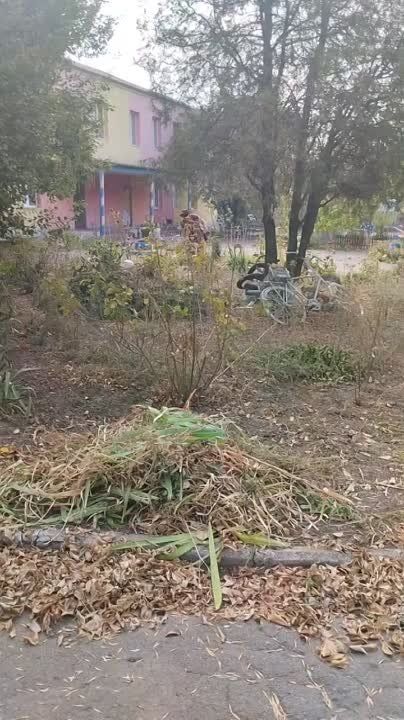 ������� ������� ��������������� ������