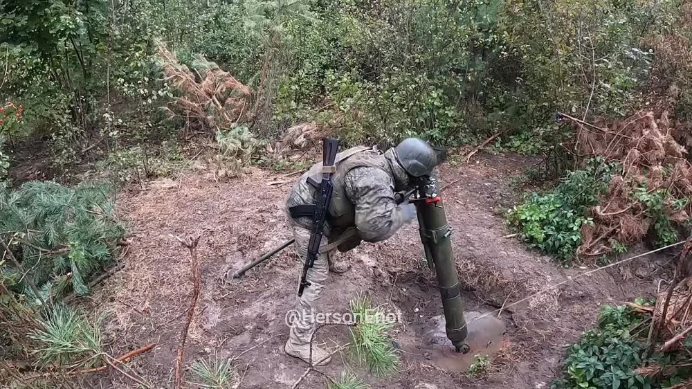 ���� �� �������: ���������� � ����� ���������