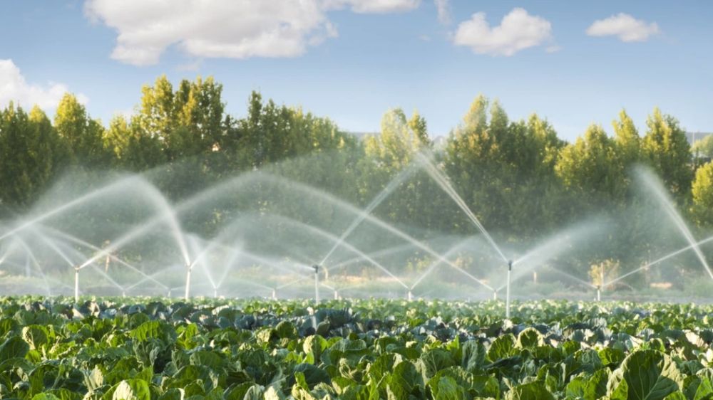 �� ���������� ������������ ����������� ���������� ������������� ������� �������