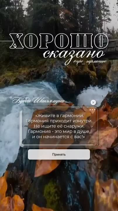 #�������������