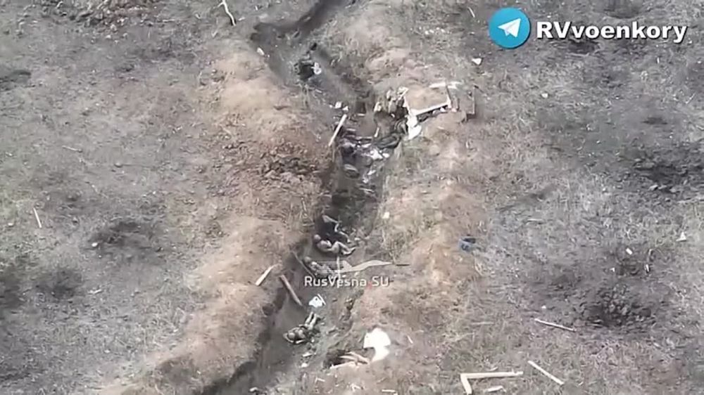 ��� � ���������: ������� ���� ��� ���������� ����� �� ����������� ������