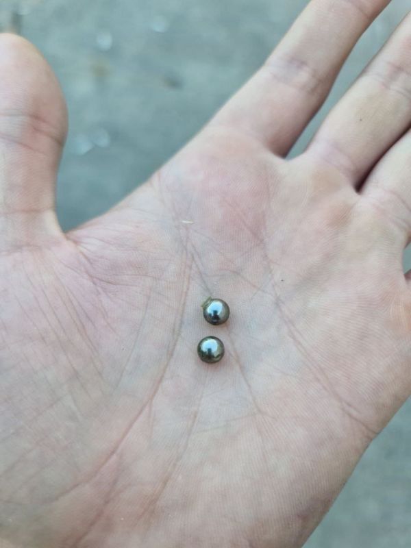 ����� �����: ��� ����� ���������� ��� ���������� �� ������� ����������� ���������� �������