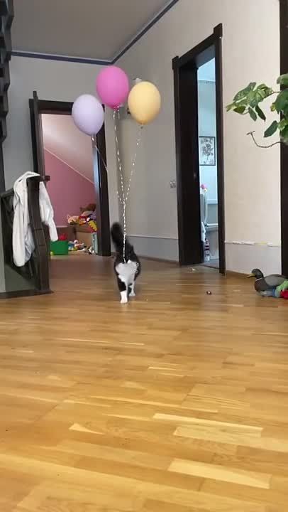 23 �������� ���� ���� �������� �������� ��������