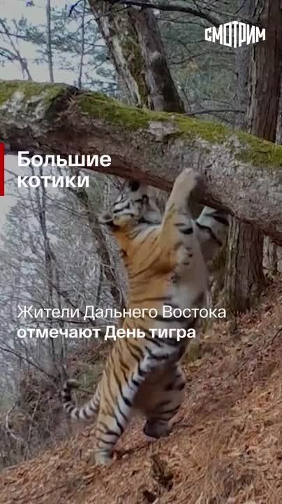 ������� ������� �������:. ����������� ��������� ��������� �������� �� ������� ��� ������ ������� ������������ ����������...