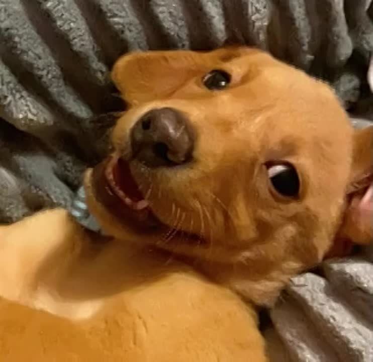 ���, ������...��� ������� �� ��������� ������?